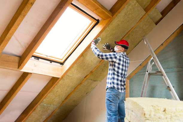 Professional Insulation Services in Edgewater, MD